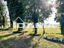 Casa indipendente in vendita Campagna Forlivese Durazzanino con giardino privato 45