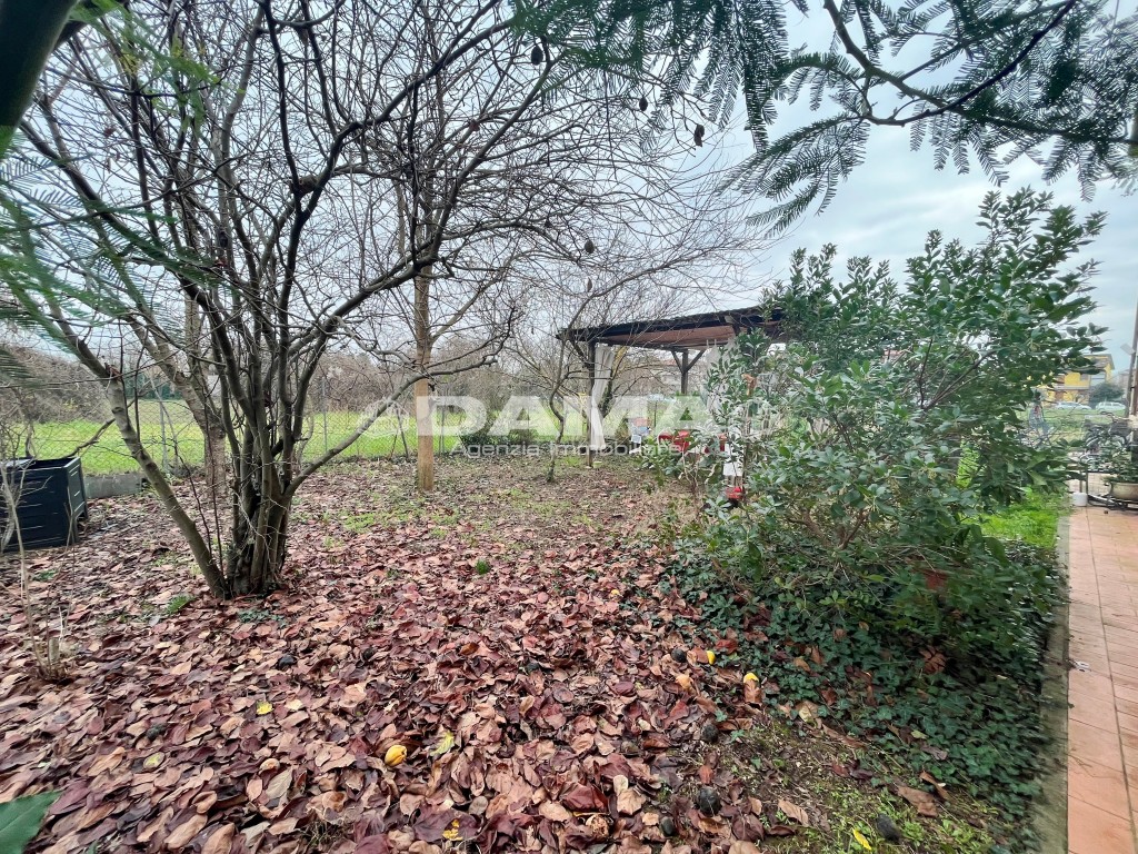 Foto annuncio