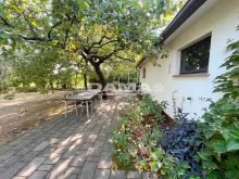 esterni (53)