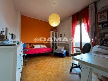 camera (2)