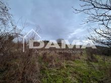 Podere con vista sulla vallata _ Galeata 15