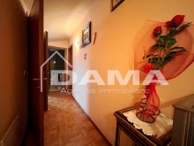 Appartamento Come Nuovo nel Quartiere Romiti _ disimpegno notte 2