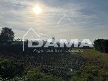 Bussecchio - Terreno agricolo adiacente strada asfaltata1