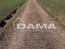 Bussecchio - Terreno agricolo adiacente strada asfaltata4