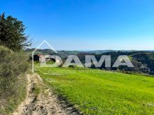 CASOLARE PANORAMICO DA RISTRUTTURARE – MONTE MIRABELLO, PREDAPPIO 04