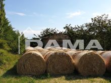 CASOLARE PANORAMICO DA RISTRUTTURARE – MONTE MIRABELLO, PREDAPPIO 19