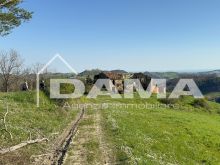 CASOLARE PANORAMICO DA RISTRUTTURARE – MONTE MIRABELLO, PREDAPPIO 37