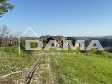 CASOLARE PANORAMICO DA RISTRUTTURARE – MONTE MIRABELLO, PREDAPPIO 38