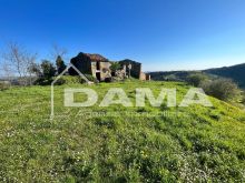 CASOLARE PANORAMICO DA RISTRUTTURARE – MONTE MIRABELLO, PREDAPPIO 41