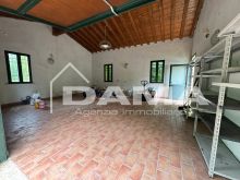 Porzione di bifamiliare a piano terra con ampio parco­_garage3