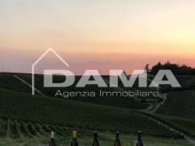 Podere agricolo con vigneto in produzione tra Forlì e Faenza, zona collinare dei Sabbioni 2