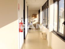 Capannone commercio all'ingrosso a Pieve Acquedotto con uffici 05