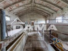 Casa indipendente con terreno_porcile