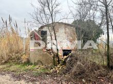 Bertinoro-Fabbricato abitativo con terreno agricolo 04