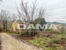 Bertinoro-Fabbricato abitativo con terreno agricolo 02