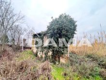 Bertinoro-Fabbricato abitativo con terreno agricolo 13