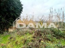 Bertinoro-Fabbricato abitativo con terreno agricolo 14