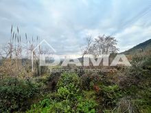 Bertinoro-Fabbricato abitativo con terreno agricolo 15