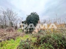 Bertinoro-Fabbricato abitativo con terreno agricolo 16