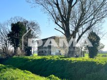 RONCADELLO _ ampia casa indipendente con parco di 2600 mq 05