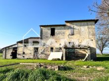 RONCADELLO _ ampia casa indipendente con parco di 2600 mq 20