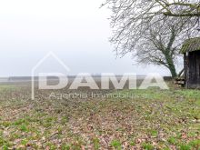 Barisano _ Casa indipendente con terreno e capannone 06