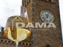 Esclusivo Podere Agricolo di 2,7 Ettari – Vista Panoramica e Vocazione Vitivinicola (Bertinoro) 2