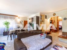 Elegante casa indipendente su due livelli a Cusercoli_soggiorno06