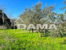 Casale immerso nel verde Vecchiazzano58