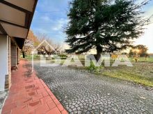 Casolare di Campagna di Ampie Dimensioni Divisibile in Due Unità Abitative39