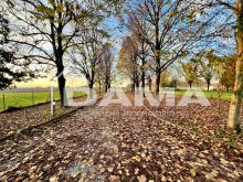 Casolare di Campagna di Ampie Dimensioni Divisibile in Due Unità Abitative47